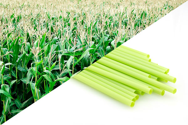 Bio-degradable or Compostable