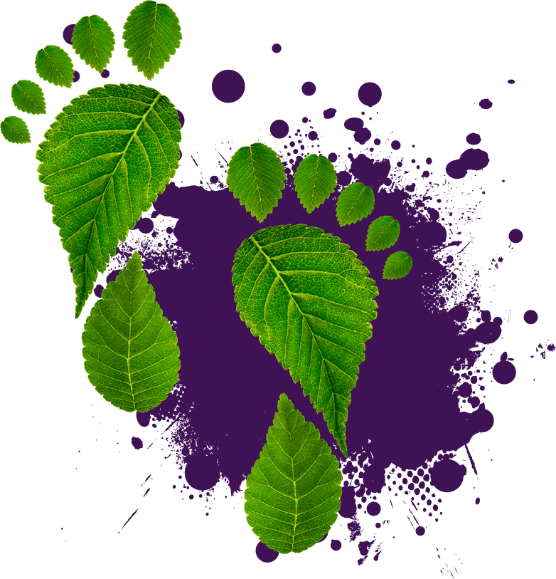 Sustainability 